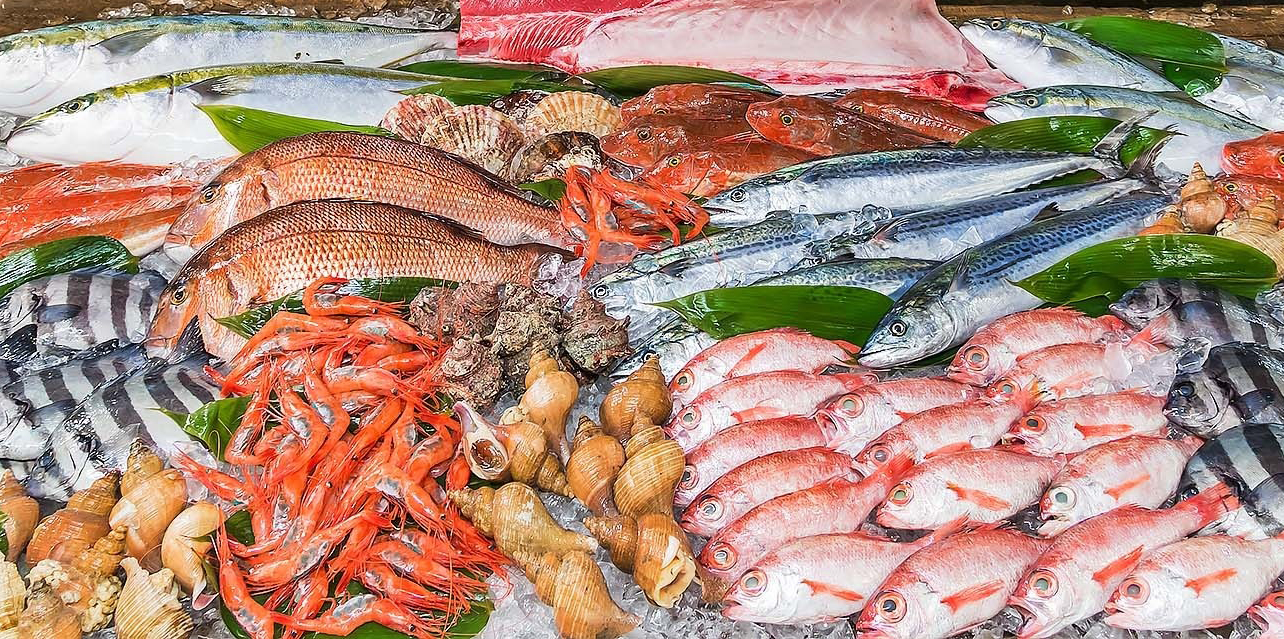 新鮮な魚が並んでいる写真